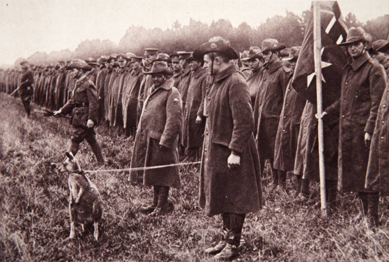 De Anzac-review op Salisbury Plain: een Australische mascotte door English Photographer