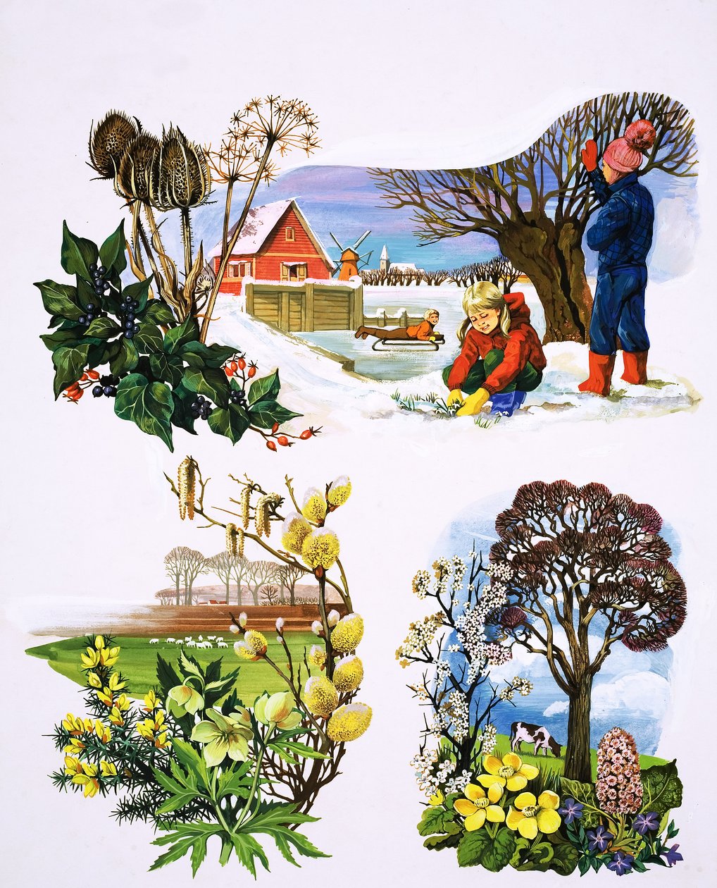 Een kalender van planten, illustratie uit 