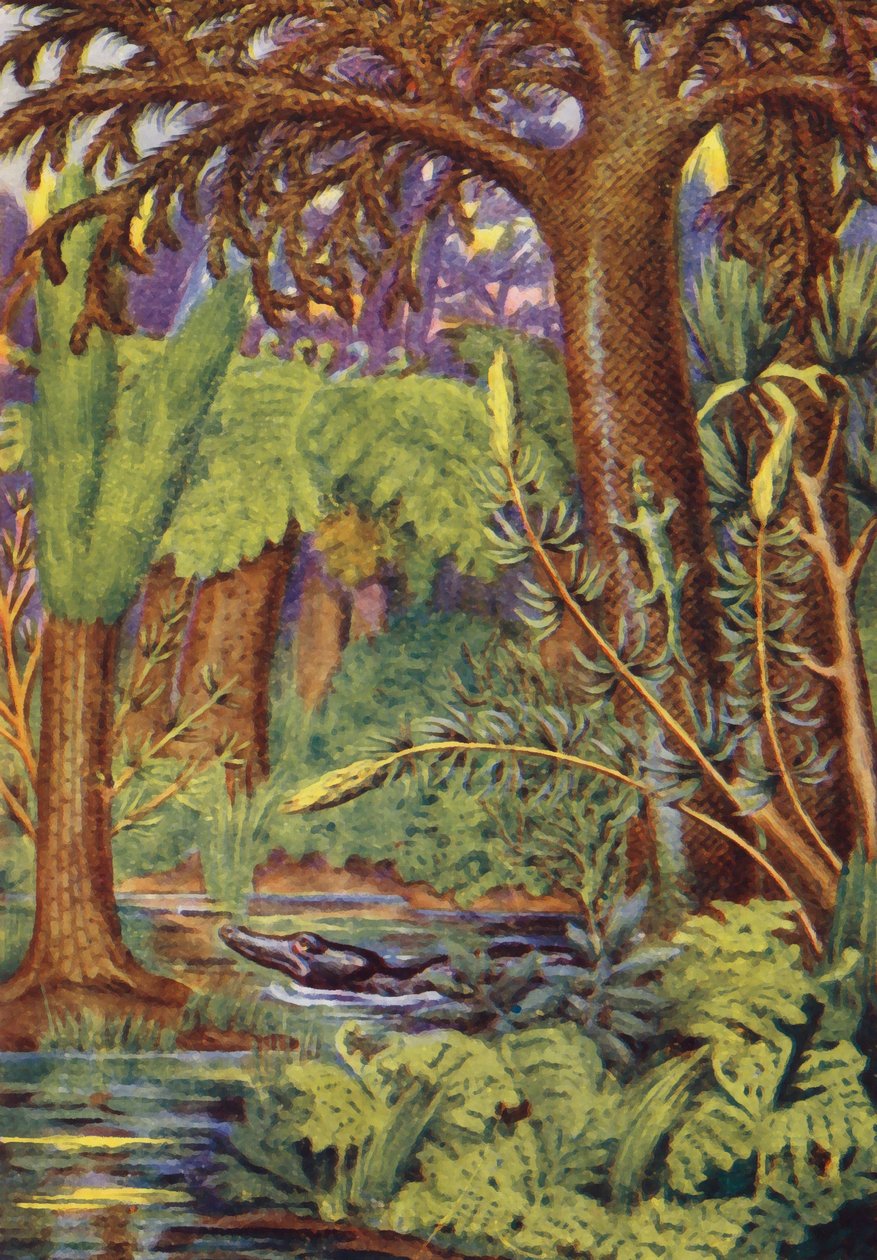 Een kolenbos (kleurenlitho) door English School