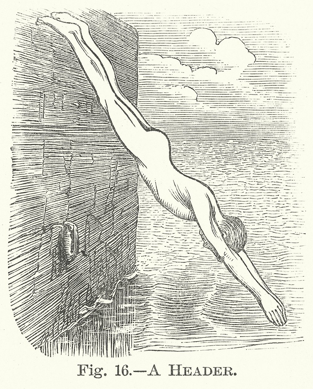 Een kop (gravure) door English School