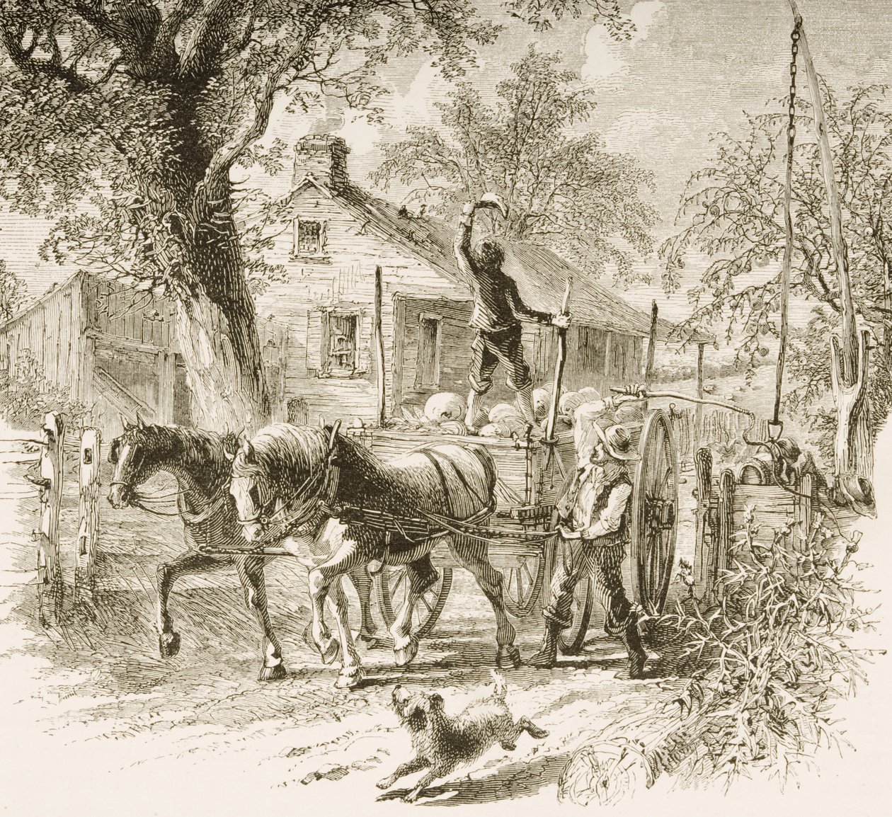 Een boerderij in Kansas, uit 