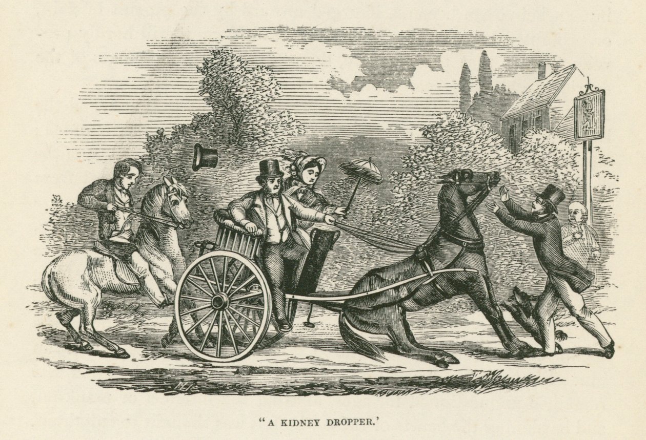 "Een nierdruppelaar" (gravure) door English School
