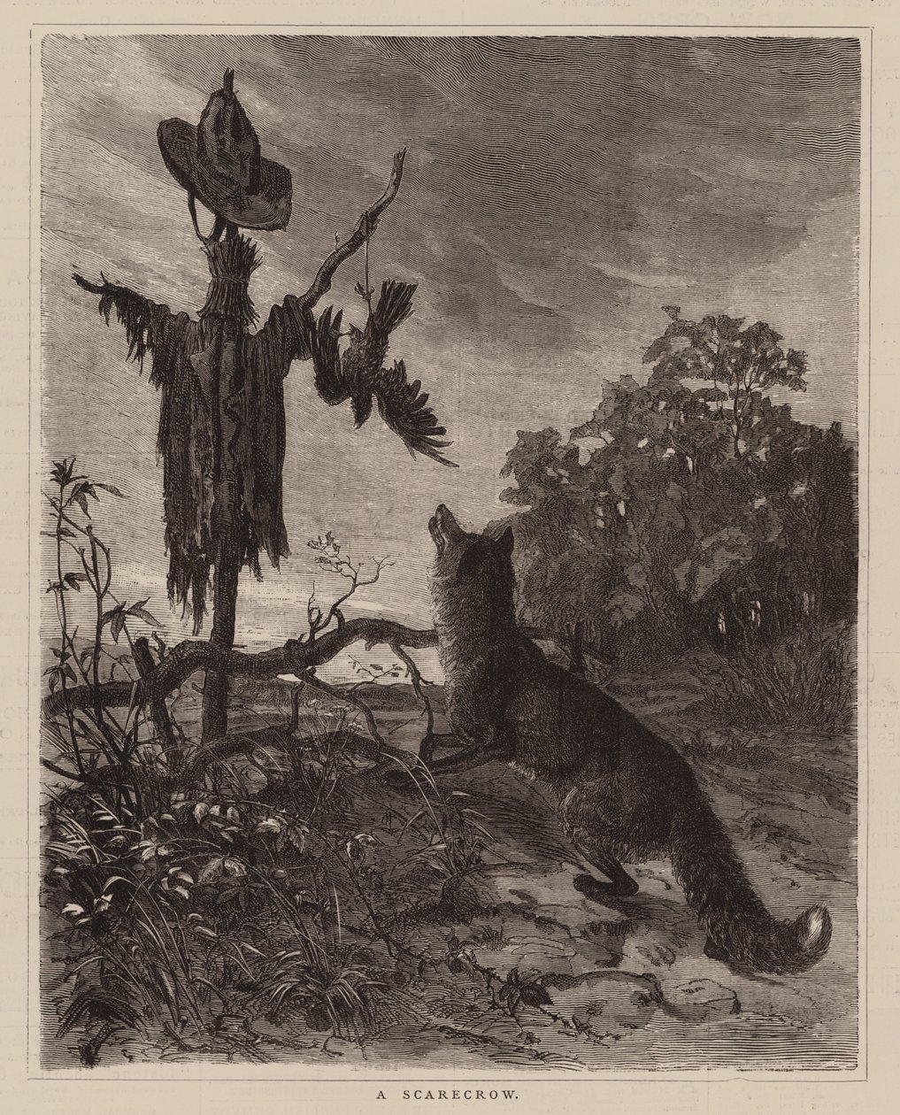 Een vogelverschrikker (gravure) door English School
