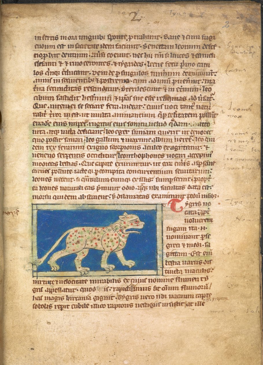 Een tijger, uit Sloane 3544, f.2 door English School