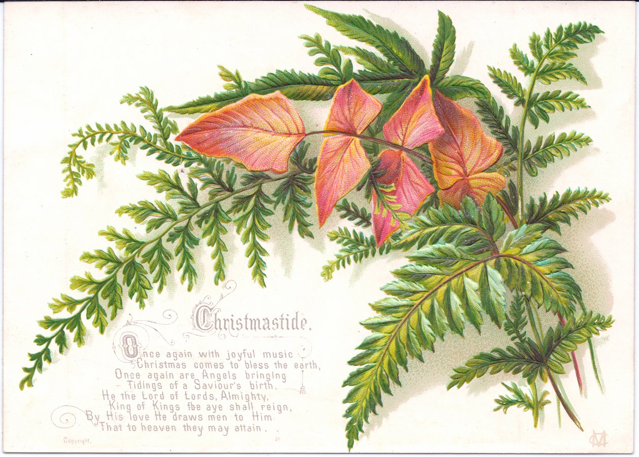 Een Victoriaanse kerstkaart met een bos varens, ca. 1880 door English School