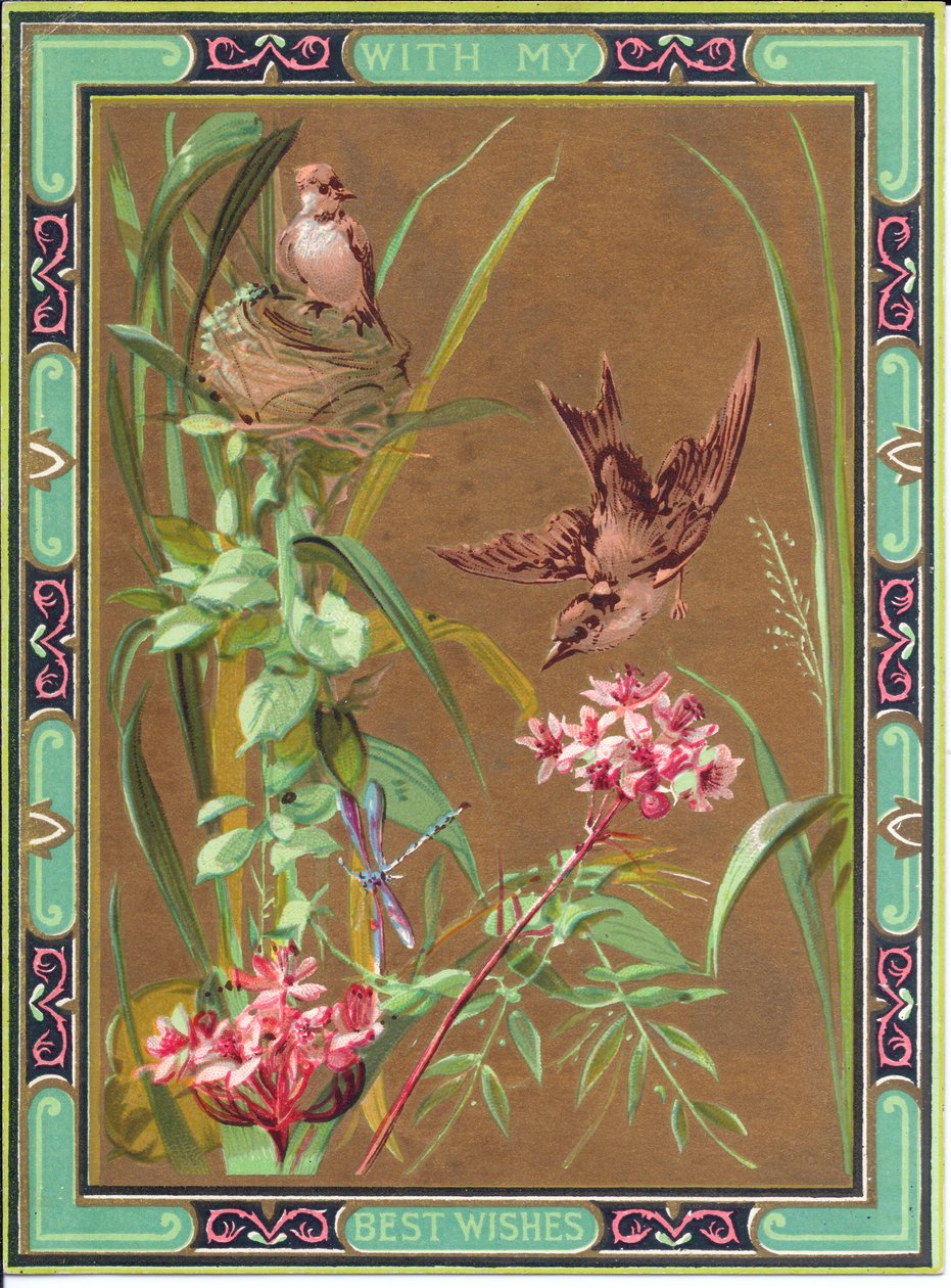 Een Victoriaanse wenskaart van een vogel die een libel achtervolgt en een vogel op zijn nest, circa 1880 door English School