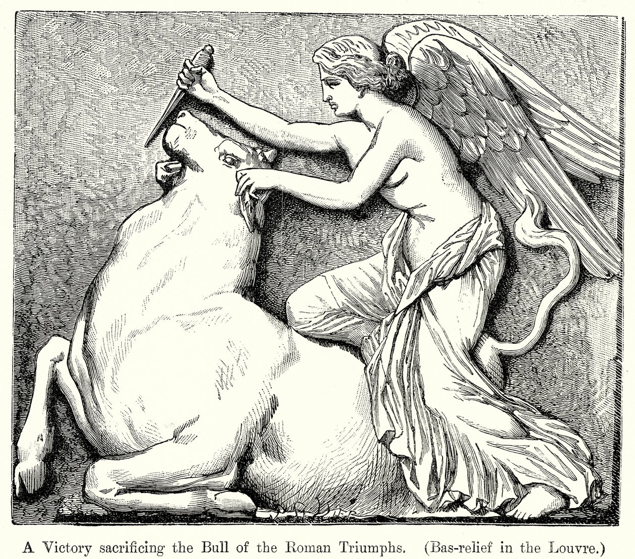Een overwinning die de stier van de Romeinse triomfen offert. (Bas-Reliëf in het Louvre) (gravure) door English School