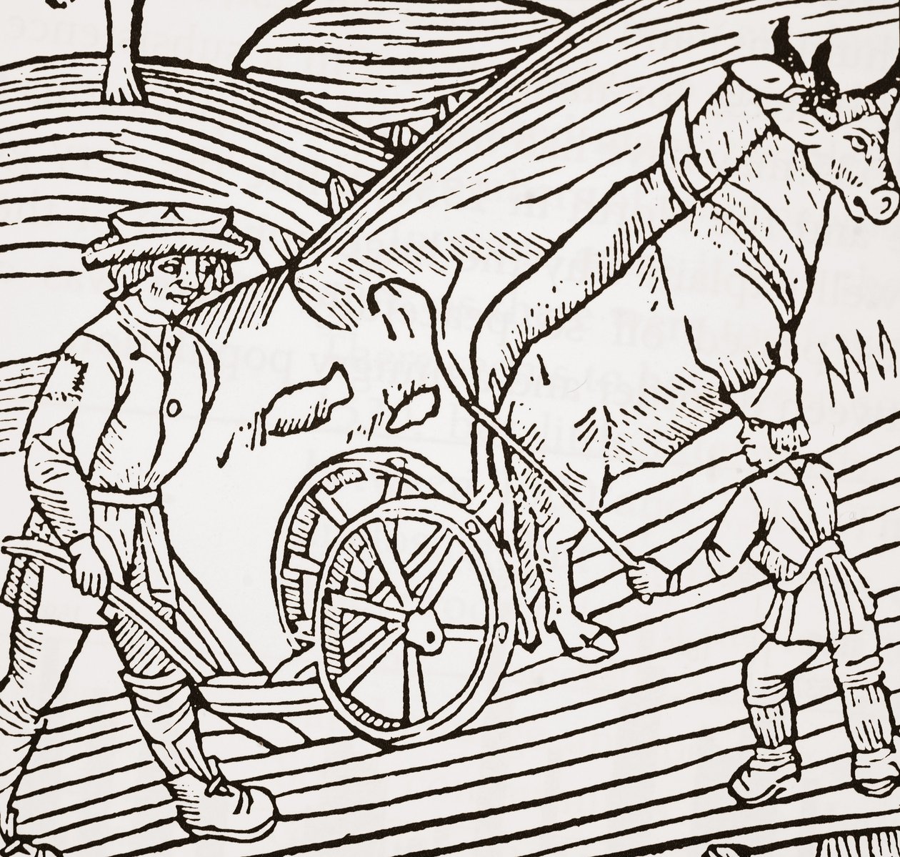 Een paar ossen aangespannen aan een ploeg, titelpagina uit John Fitzherberts Boke of Husbandry, eerst gepubliceerd 1523 door English School
