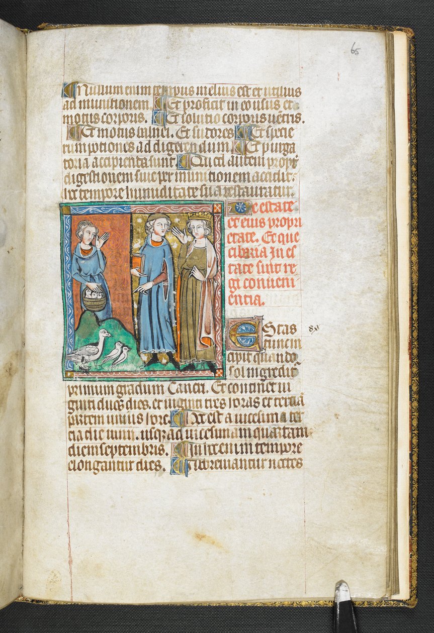 Add MS 47680, f.65r Aristoteles wijst naar vogels die naar de koning worden gebracht, uit Secretum Secretorum, c.1326-27 (perkament) door English School