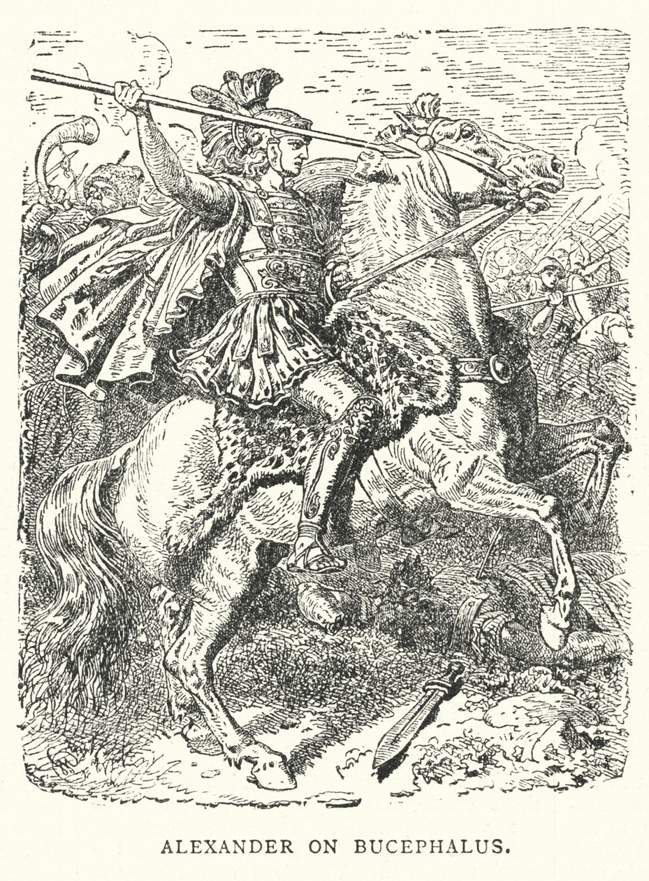 Alexander op Bucephalus (gravure) door English School