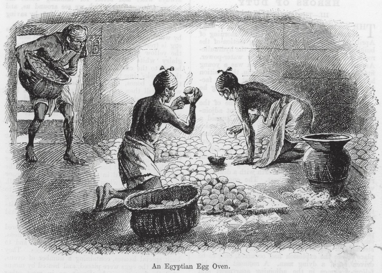 An Egyptian Egg Oven (engraving) door English School