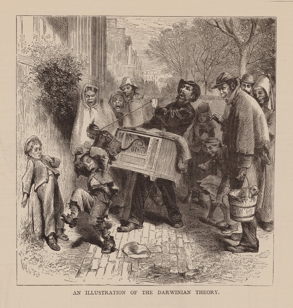 Een illustratie van de Darwinistische theorie (gravure) door English School