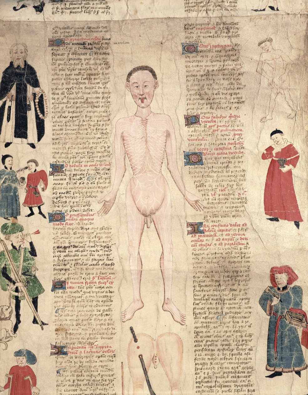 Anatomisch diagram, uit De arte phisicali e de cirugia door John Ardene door English School