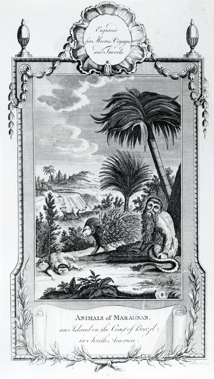 Dieren van Maragnan (illustratie uit Moores Reizen en Reizen) door English School
