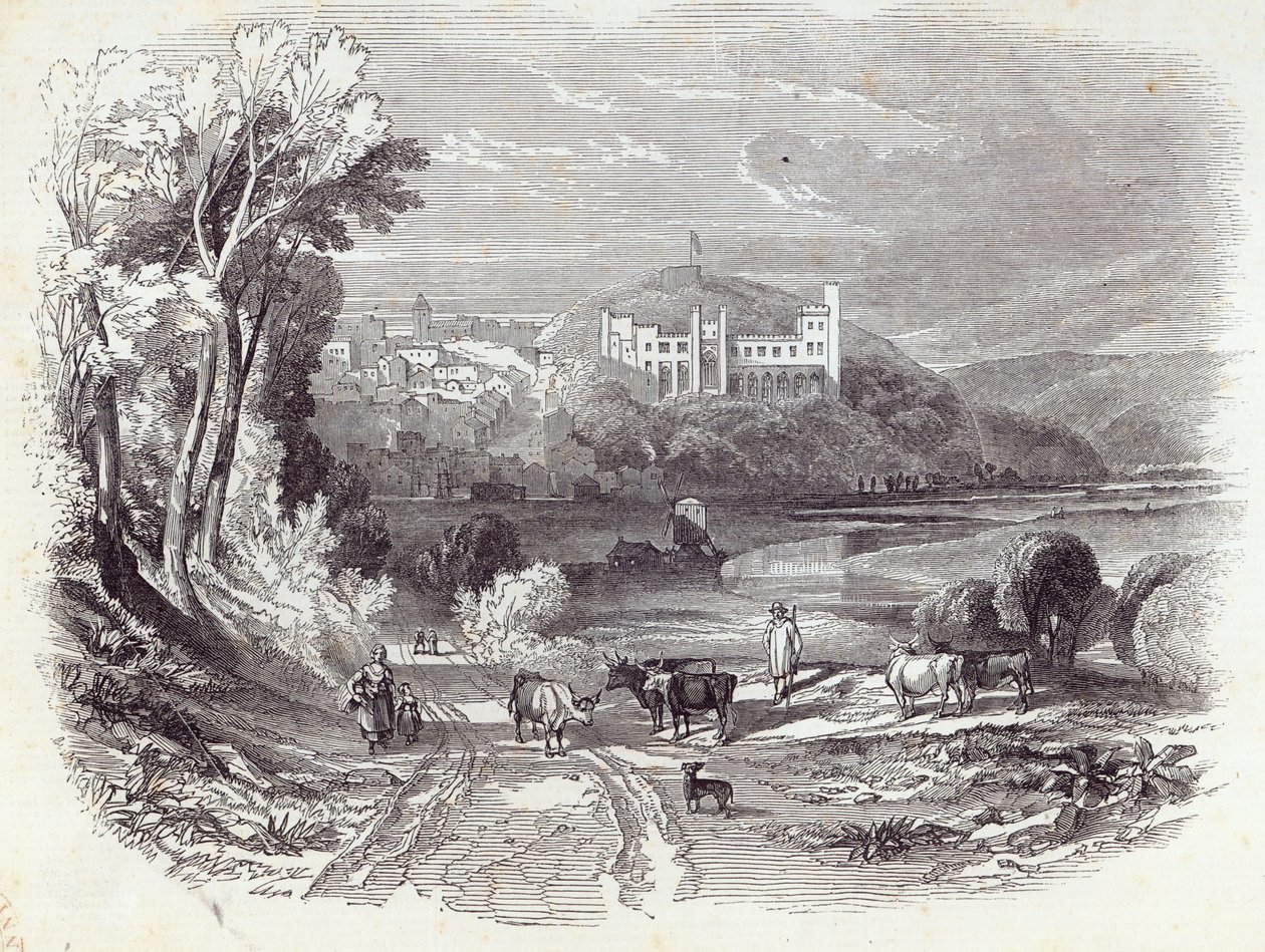 Arundel Castle en stad, uit 