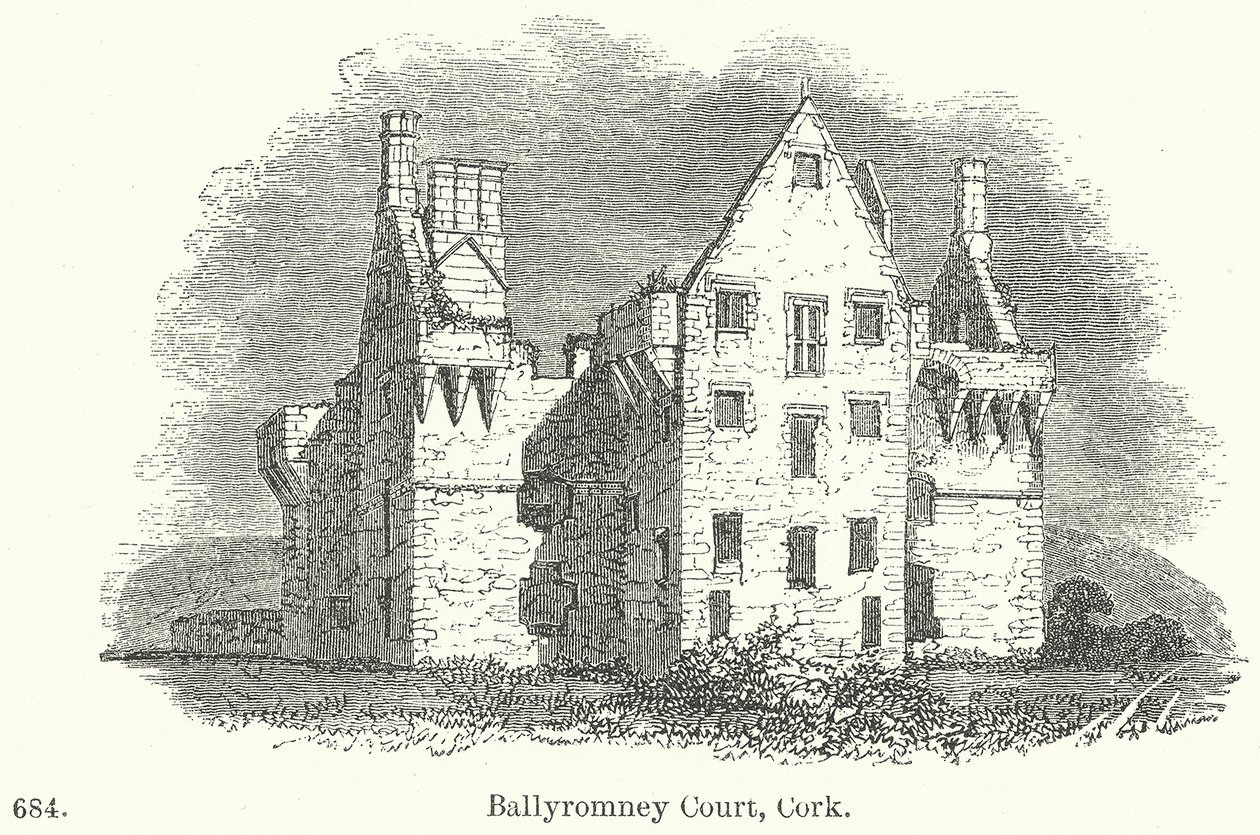 Ballyromney Court, Cork (gravure) door English School