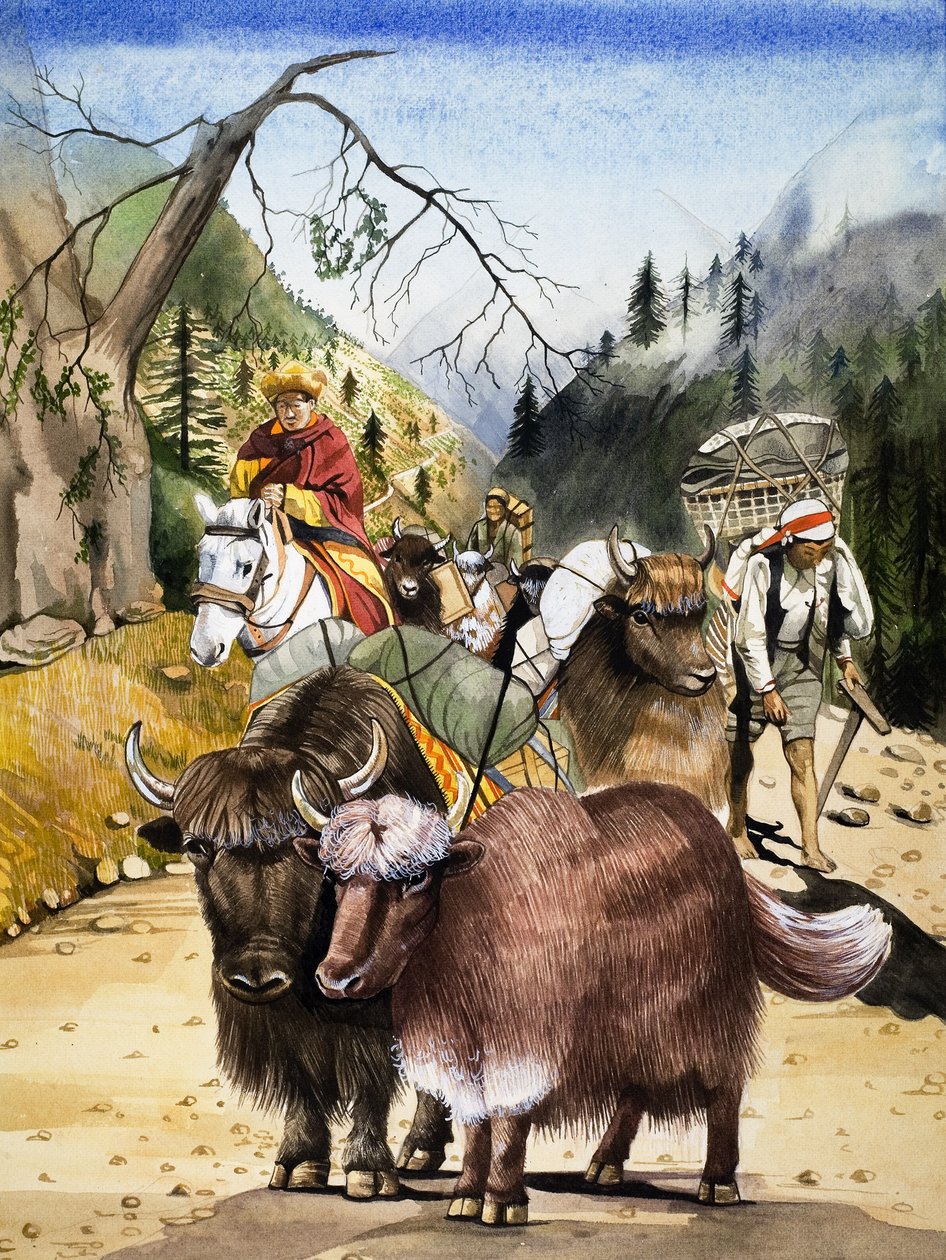 Lastdieren, illustratie uit 