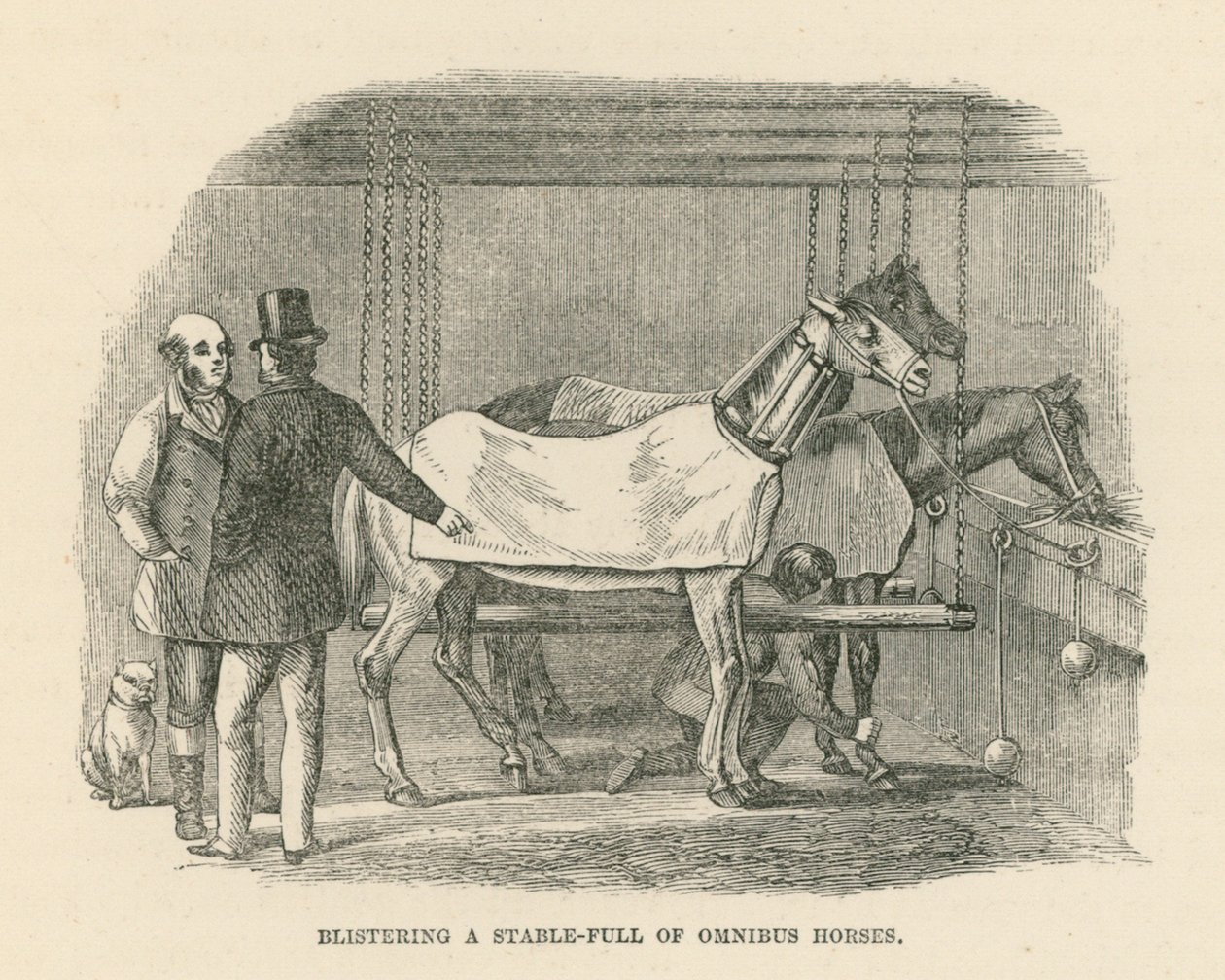 Het blaren van een stal vol omnibuspaarden (gravure) door English School