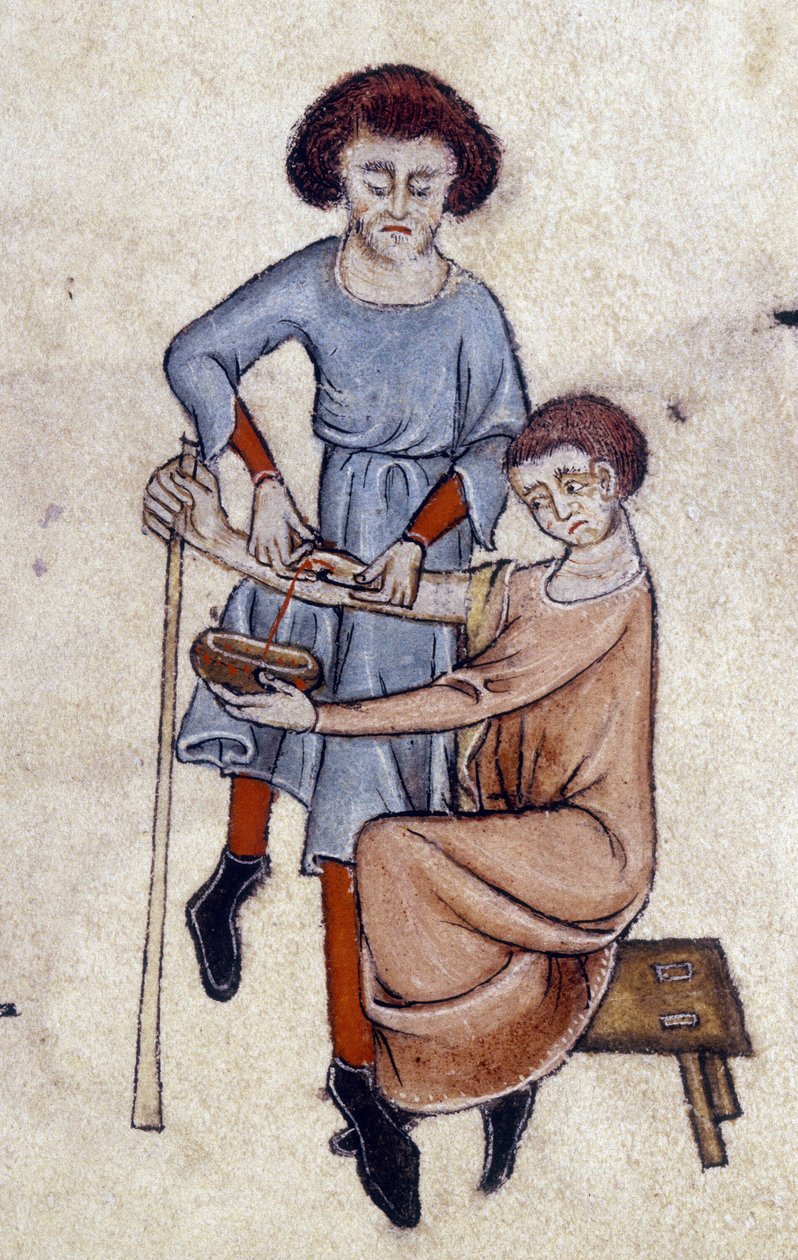 Bloedafname, uit het Luttrell Psalter, c.1325-35 door English School