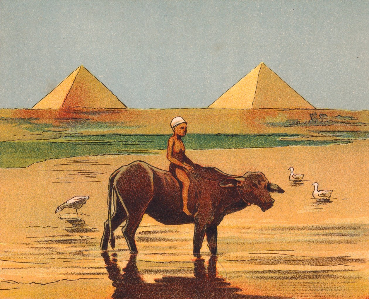 Jongen rijdt op een os voor de piramides, Egypte (kleurenlitho) door English School