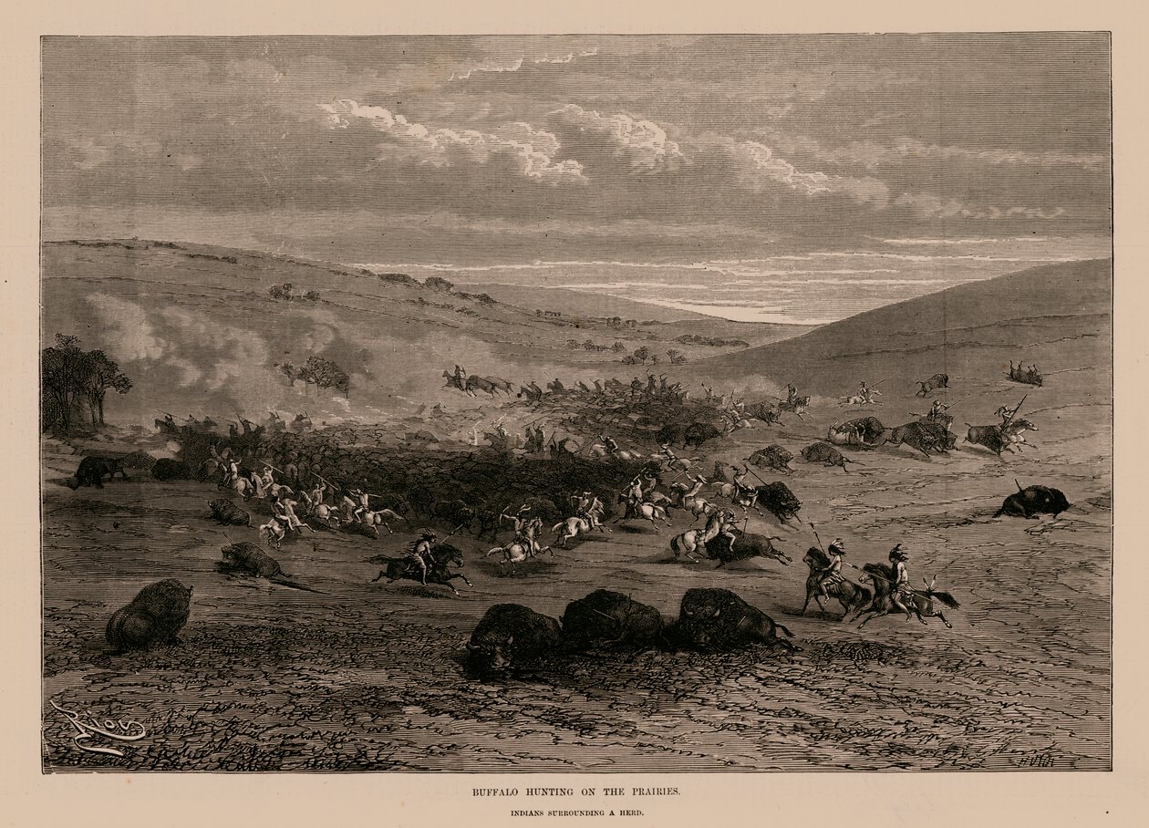 Buffeljacht op de prairies (gravure) door English School