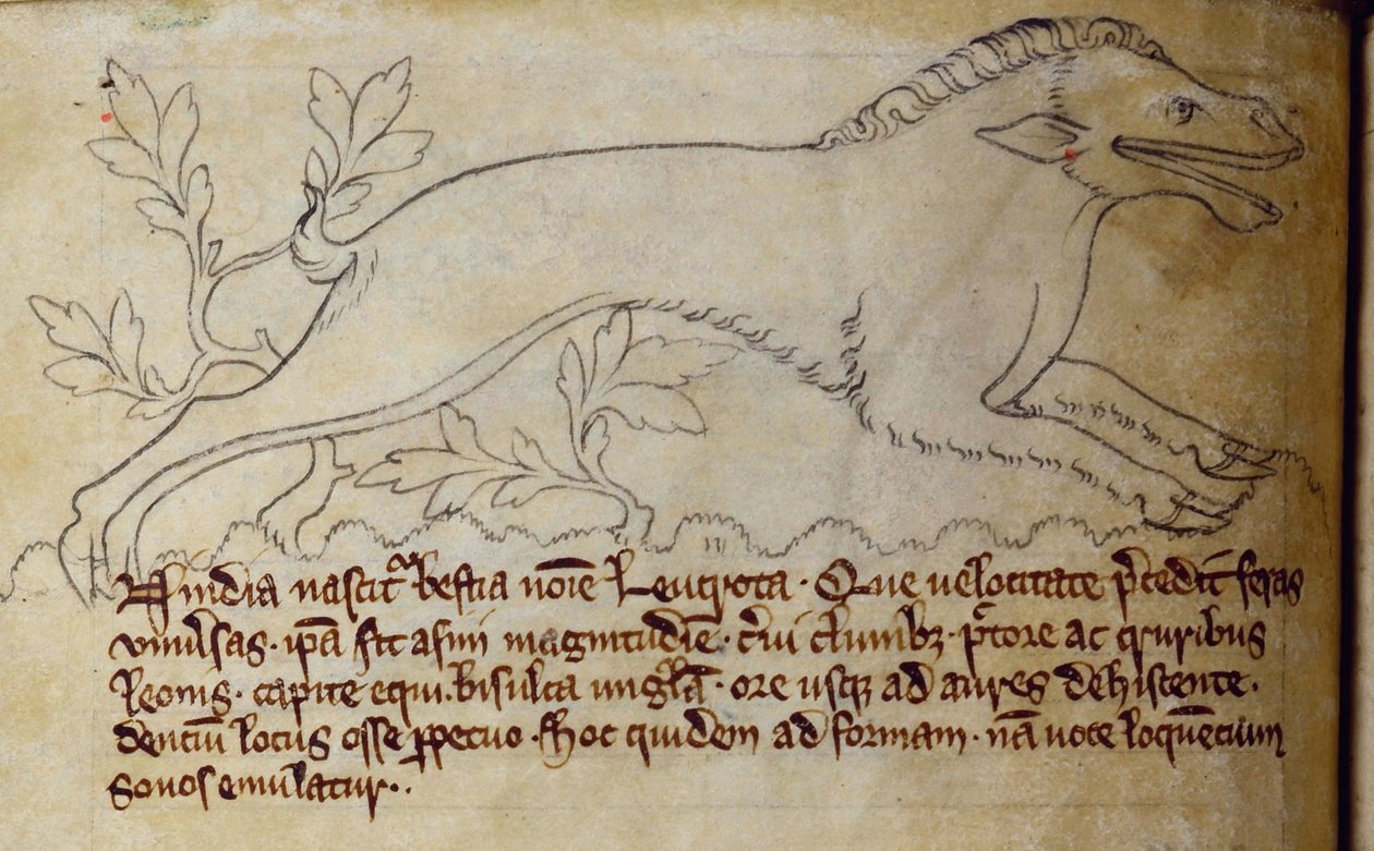 CCA-LitMs/D/10 fol. 3v Leucrota, uit Bestiarium door English School