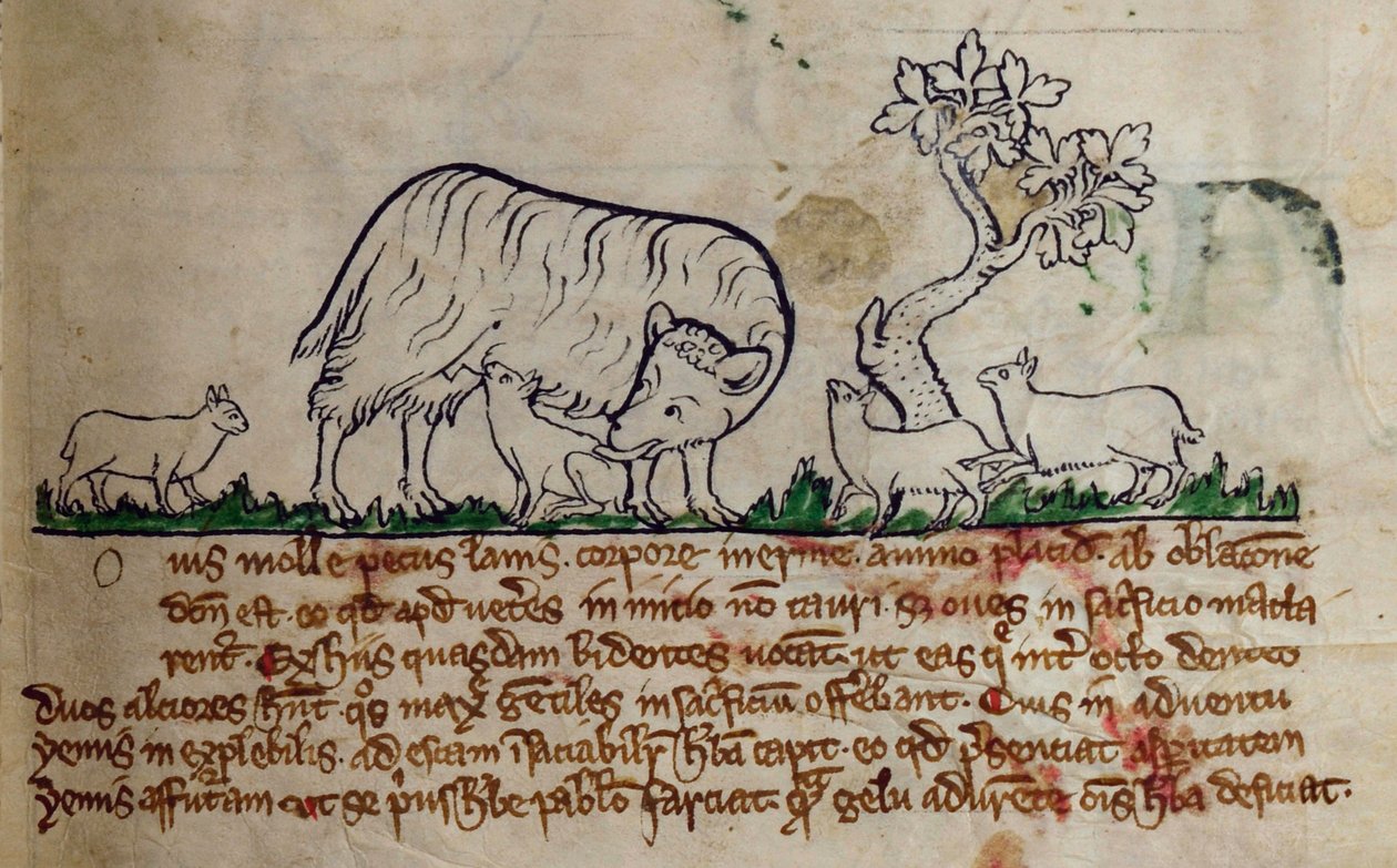 CCA-LitMs/D/10 fol. 8r Schaap, uit Bestiarium door English School