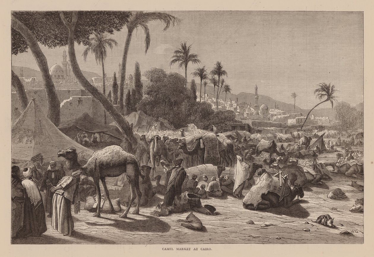Kamelenmarkt in Caïro (gravure) door English School