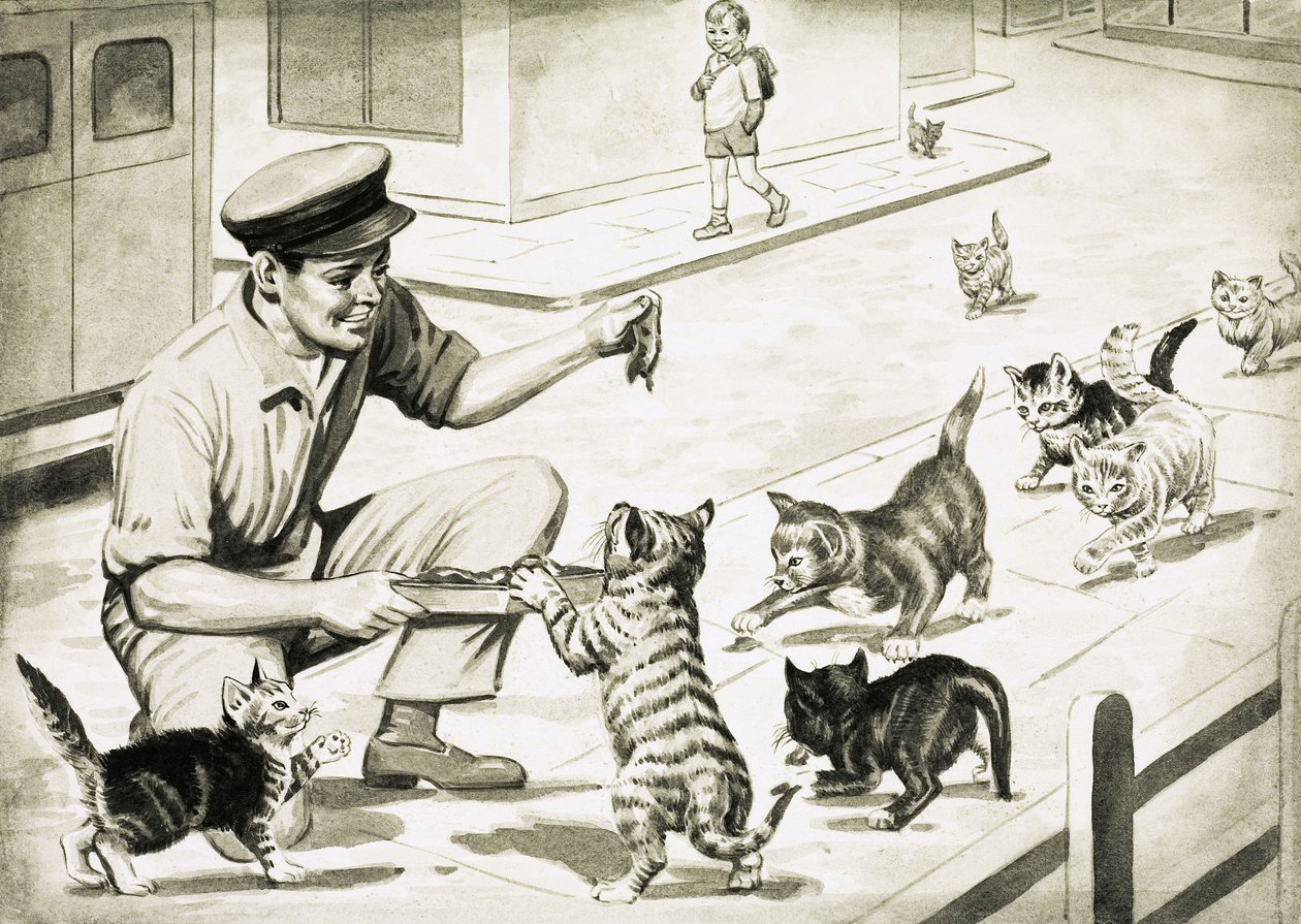 Katten komen de kattenvleesman begroeten door English School