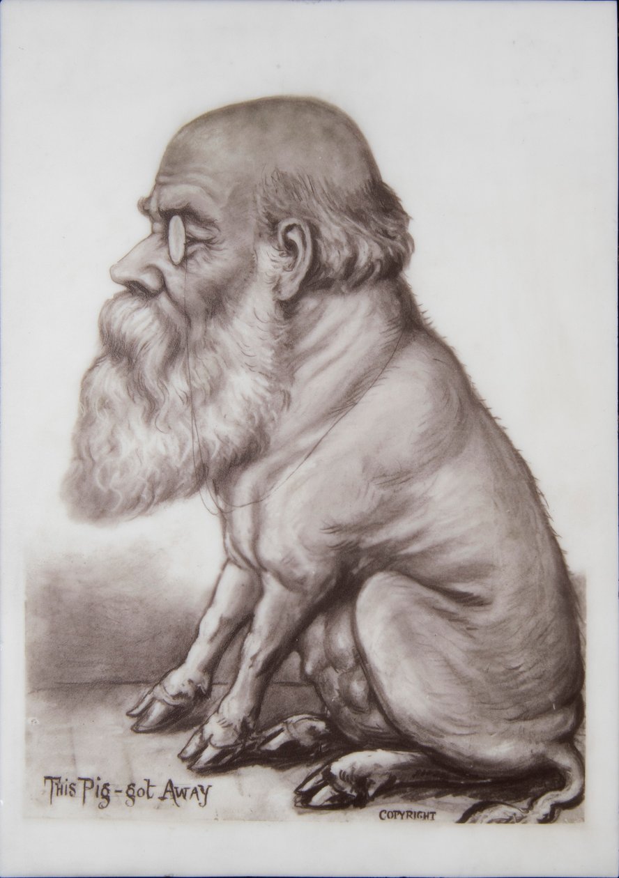 Charles Darwin Plaque, ca. 1870 door English School