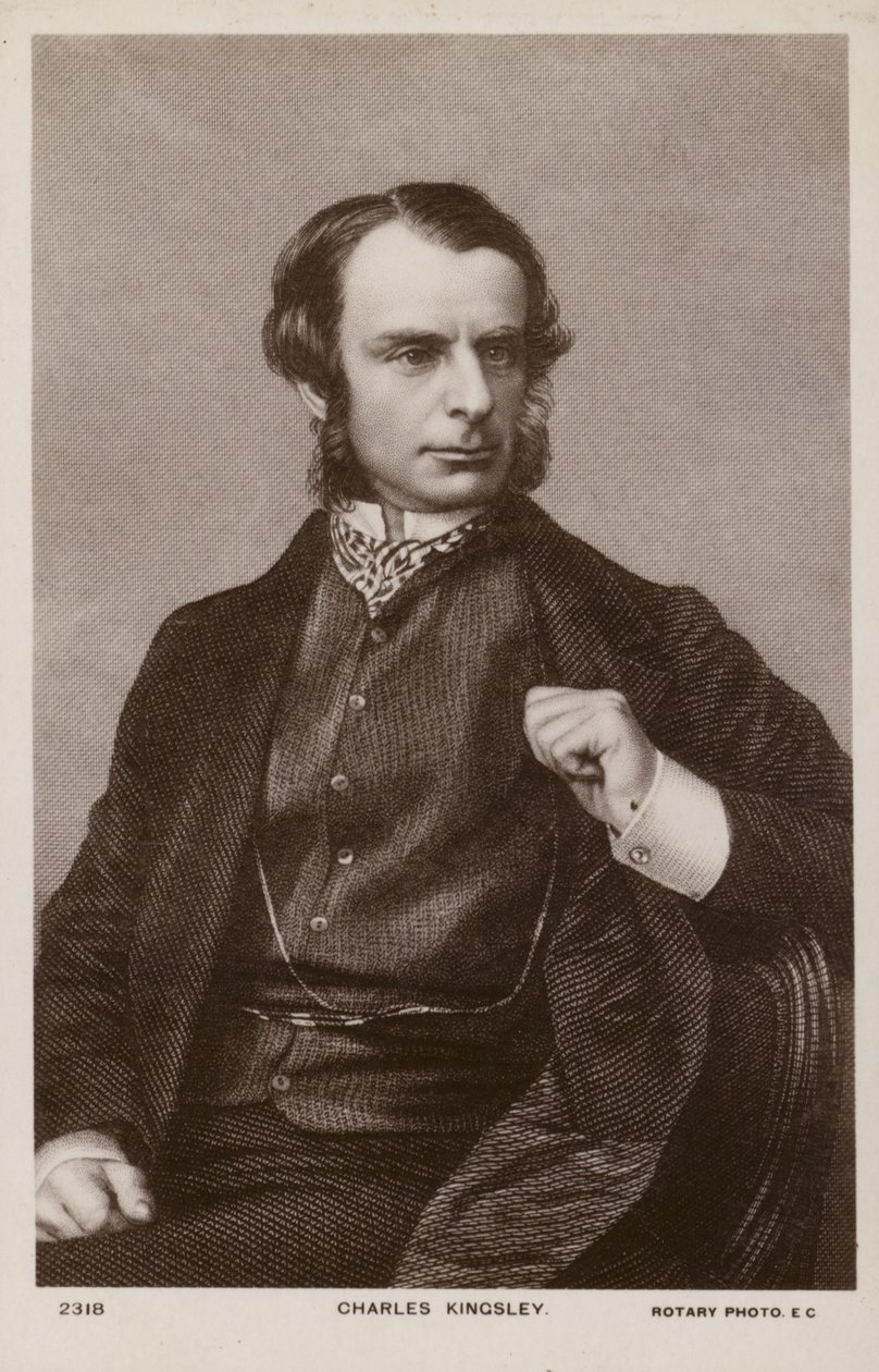 Charles Kingsley (1819-1875), Engels geestelijke, historicus en romanschrijver (litho) door English School