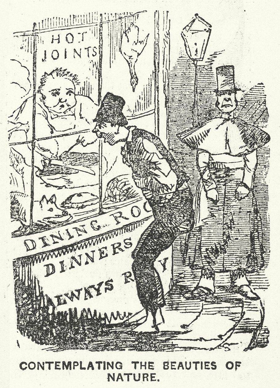 De schoonheid van de natuur aanschouwend (gravure) door English School
