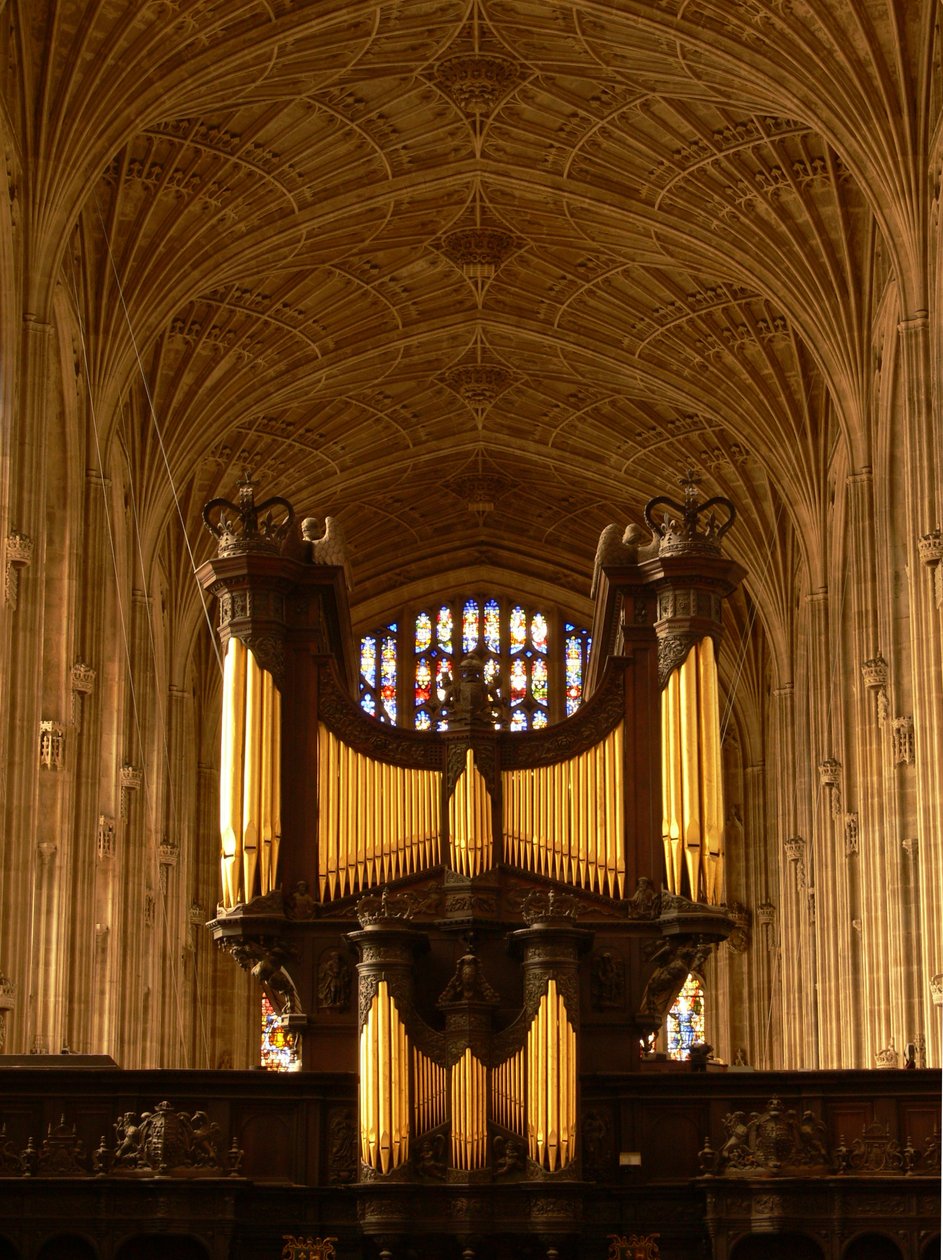 Een uitzicht op het orgel en de gewelven door English School