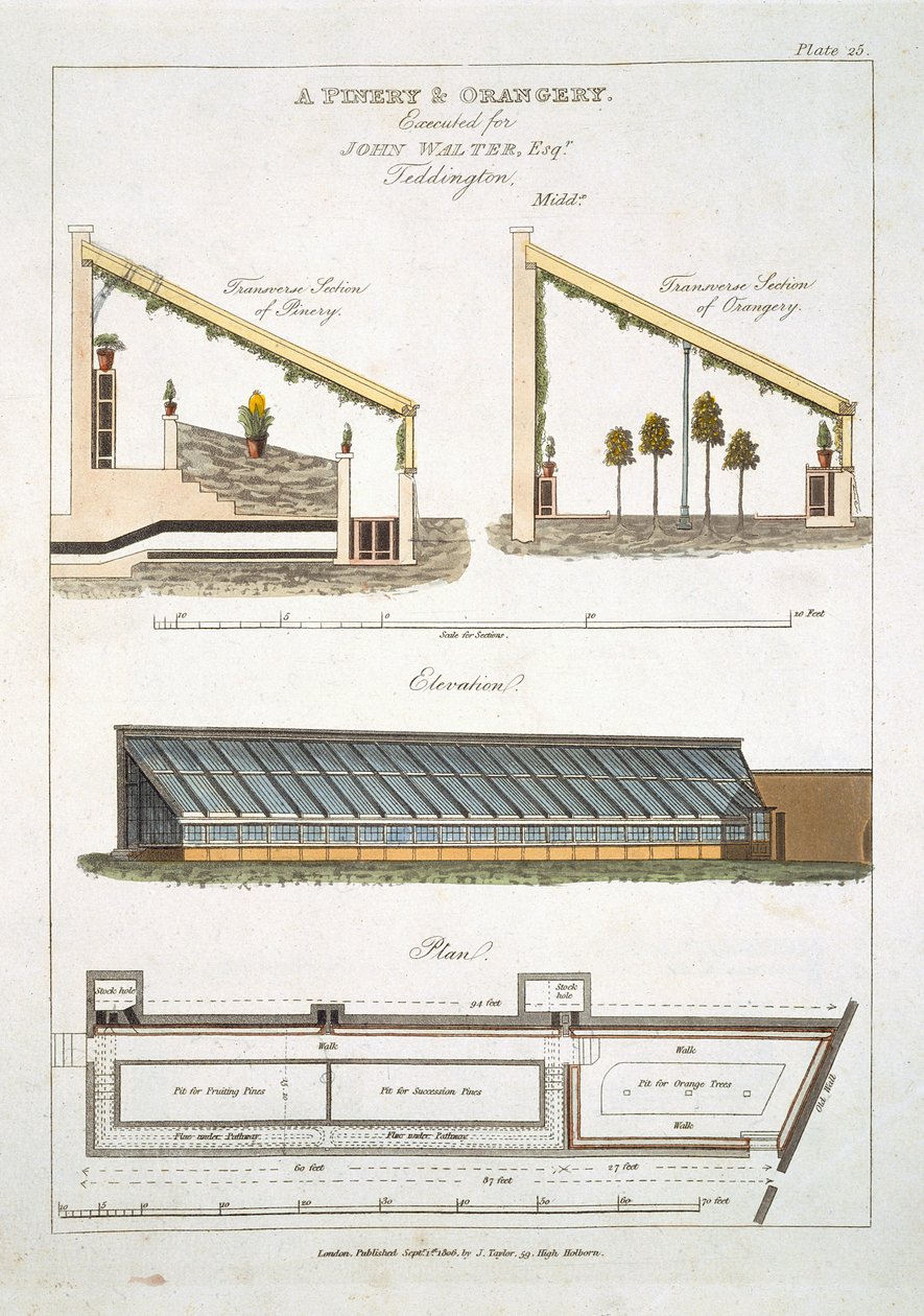 Ontwerp voor een Ananashuis en Oranjerie in Teddington, 1806 door English School