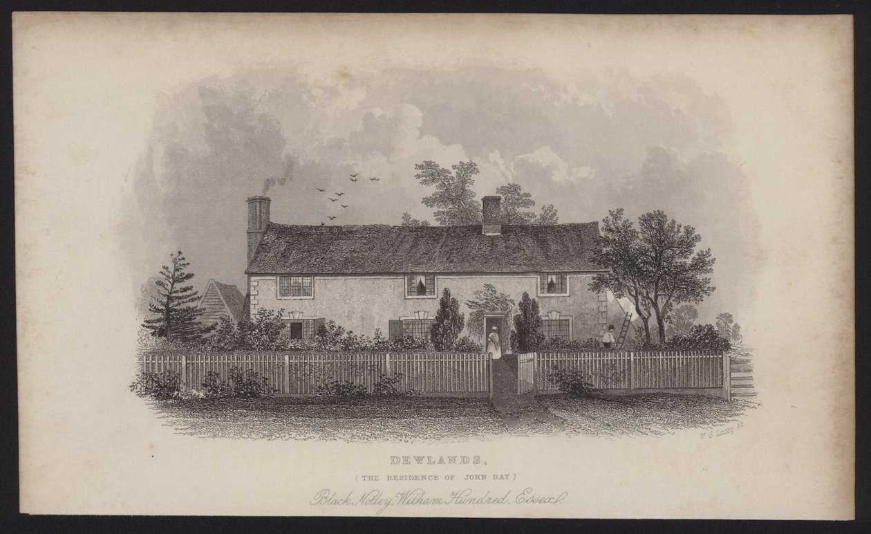 Dewlands, het huis van John Ray, Black Notley, Witham Hundred, Essex (gravure) door English School