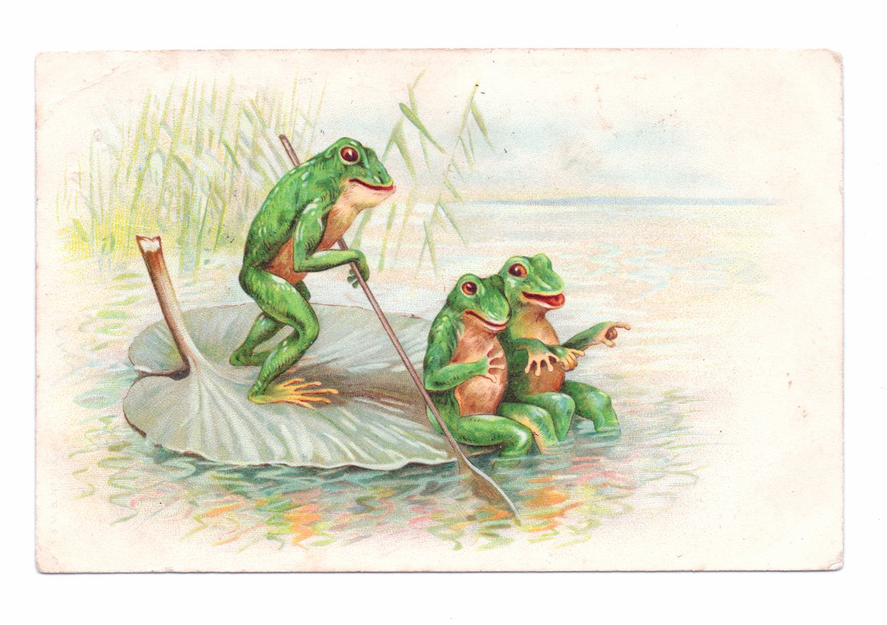 Edwardiaanse ansichtkaart van twee kikkers zittend op een waterlelieboot terwijl een derde roeit, ca 1910 (kleurenlitho) door English School