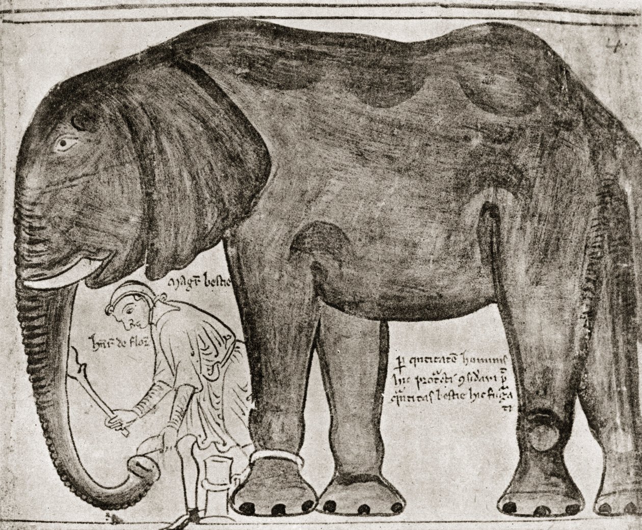Olifant gestuurd door St Louis naar Henry III, uit 