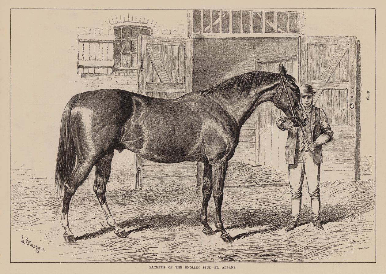 Vaders van de Engelse stoeterij, St Albans (gravure) door English School
