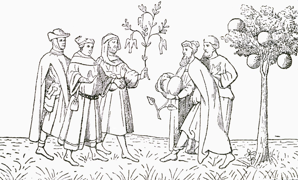 Broeder Oderic van Pordenone met een tak van een boom waarop vogels groeien, getoond door de lokale koning, de Lamboom van Tartary, met een lam dat tevoorschijn komt, illustratie uit The Strand Magazine door English School