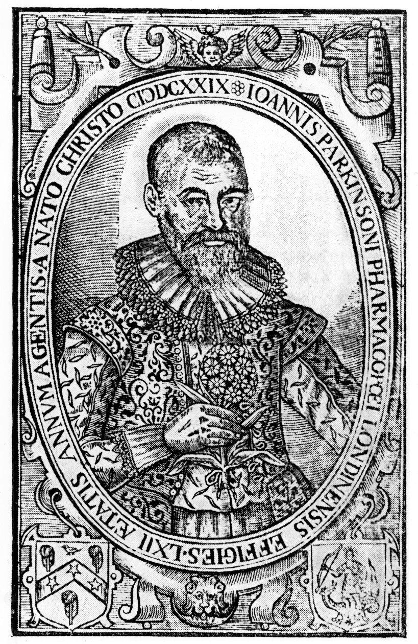 Frontispice voor Paradisi in Sole Paradisus Terrestris door John Parkinson, gepubliceerd 1629 door English School