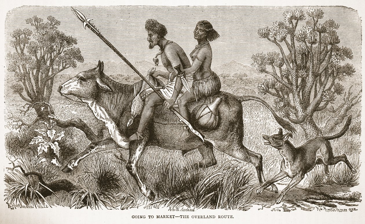 Op weg naar de markt - de landroute, illustratie uit The Pictorial Edition of the Life and Discoveries of David Livingstone door J. Ewing Richie, uitgegeven door A. Fullarton & Co., 1876 door English School