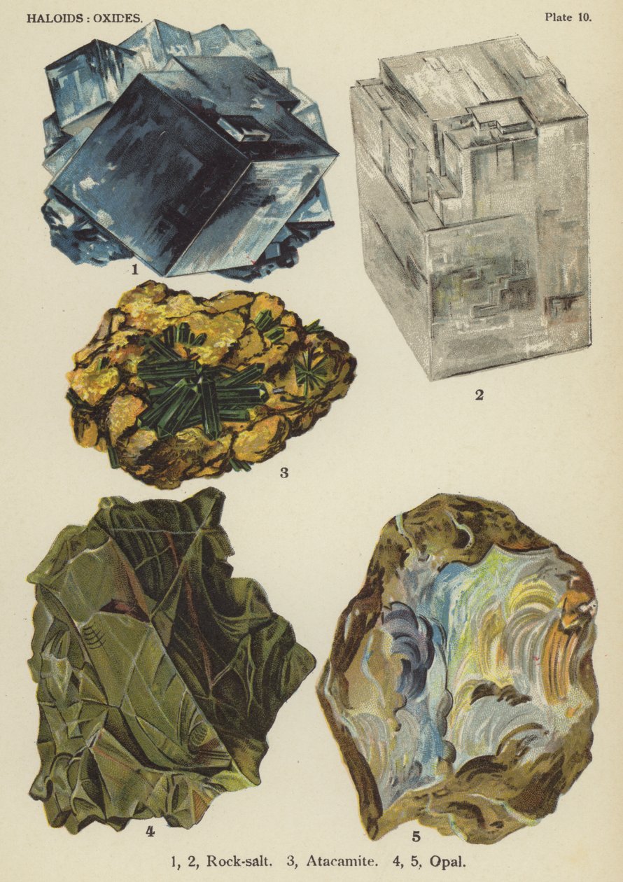 Haloïden, oxiden, steenzout, atacamiet, opaal (kleurenlitho) door English School