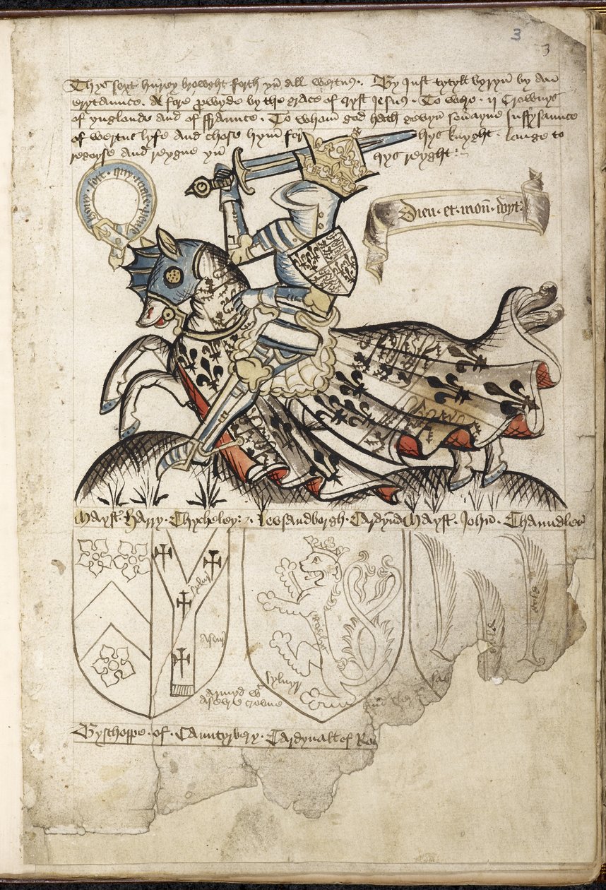 Henry VI te paard, Wapenschilden in de tijd van Henry VI door English School