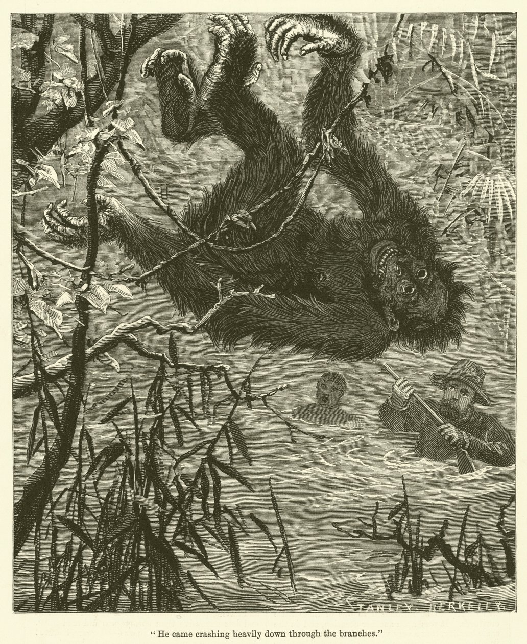 "Hij kwam zwaar neergestort door de takken" (gravure) door English School