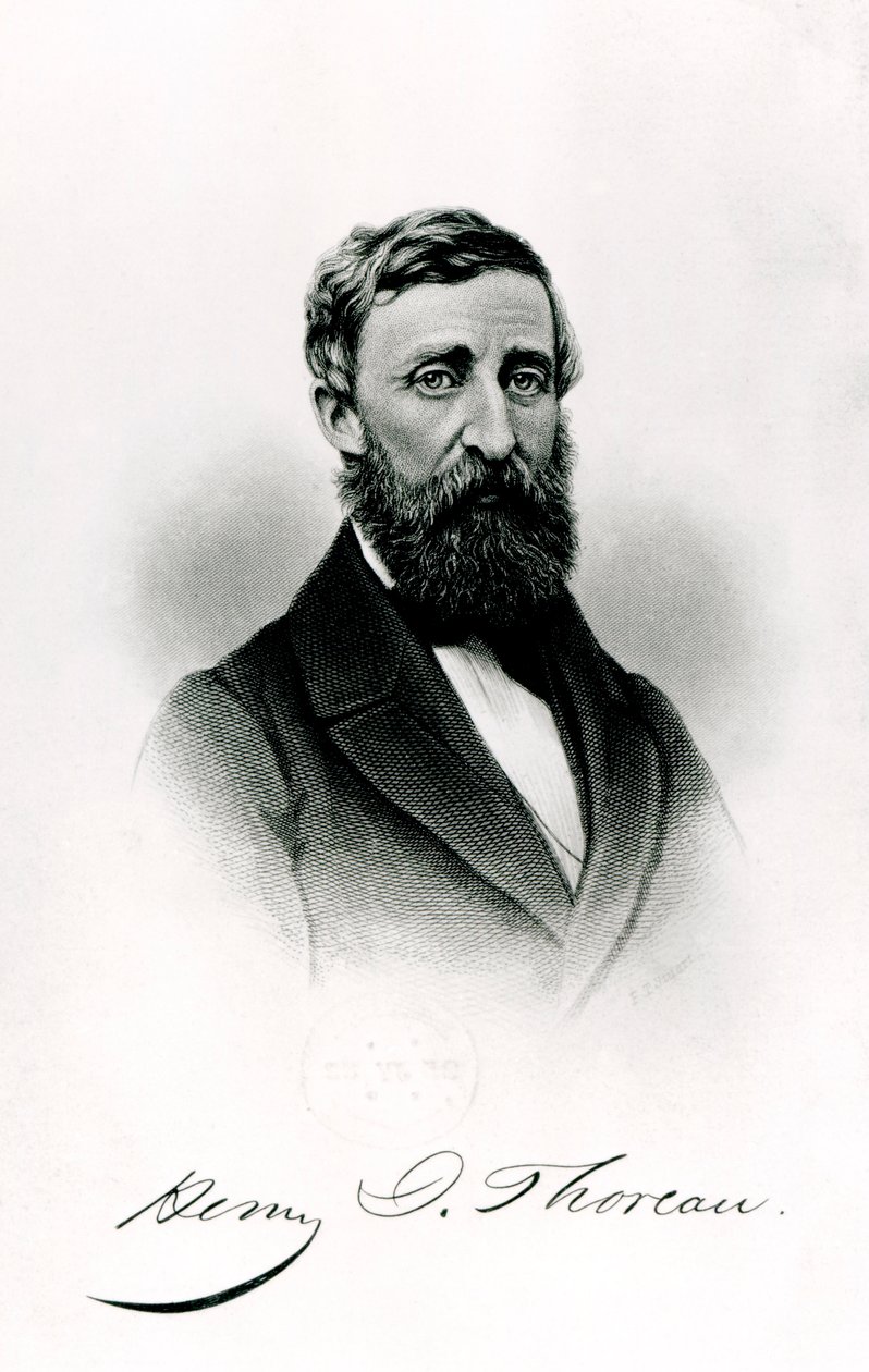 Henry David Thoreau (1817-62) door English School