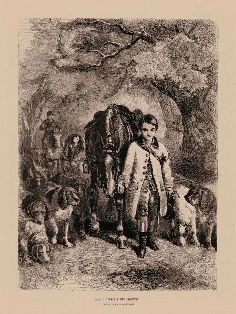 Hare Majesteits Buckhounds (gravure) door English School