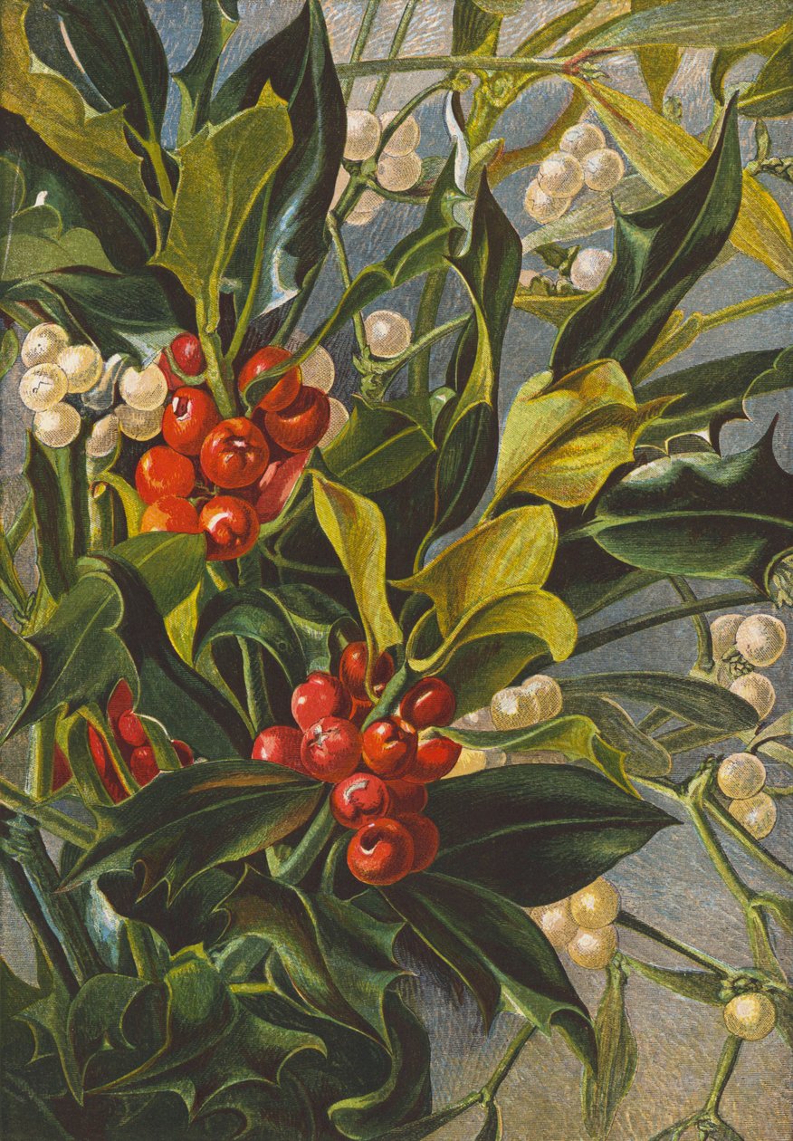 Hulst en maretak (kleurenlitho) door English School