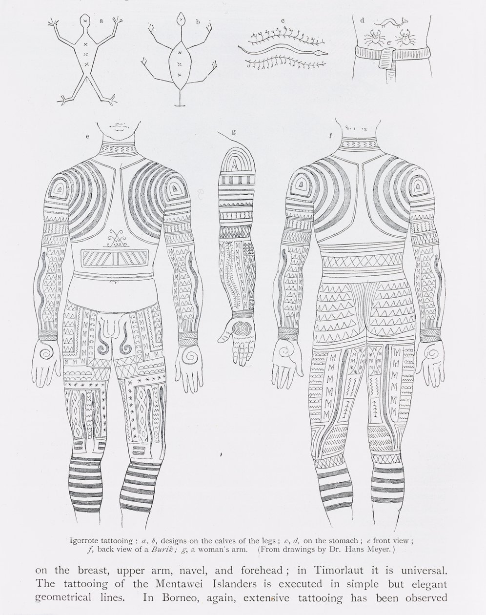 Igorrote tatoeage, uit 