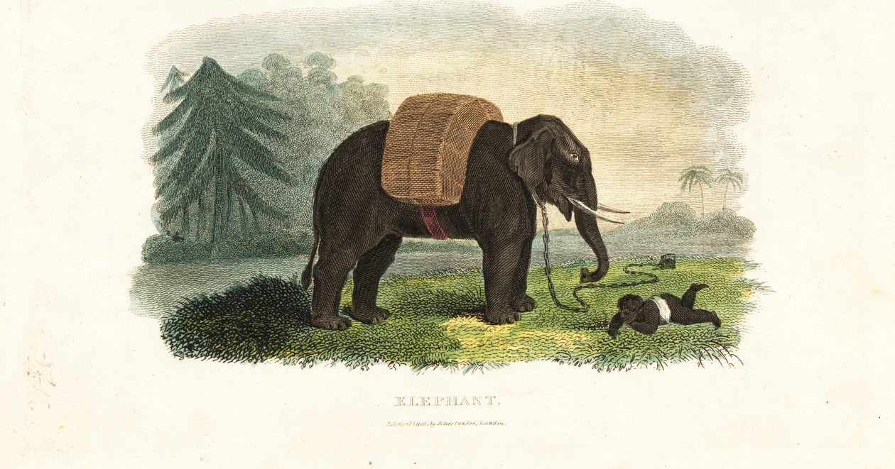 Indiaas kind onder bescherming van een geketende olifant terwijl de ouders voedsel zoeken in het bos door English School