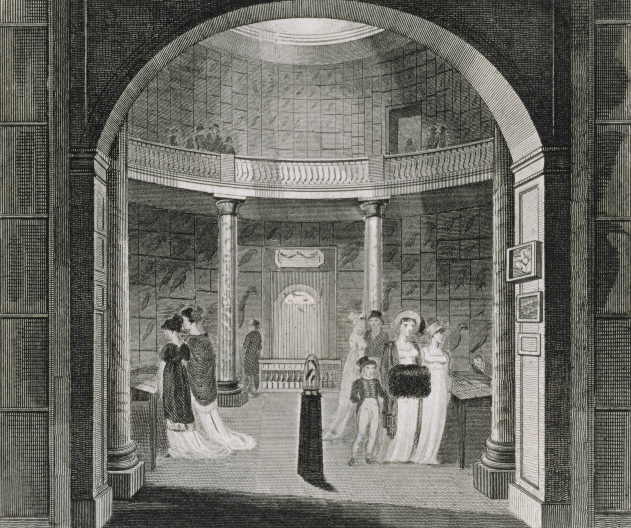 Binnenaanzicht van het Leverian Museum, 1806 door English School